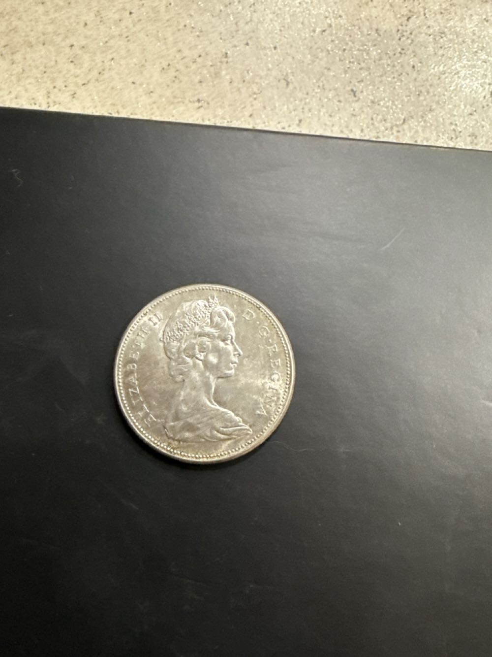 Canada Goose Centennial Dollar  coin collectible - Main Image 2