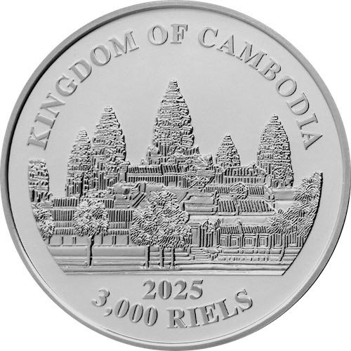 Treasures | 2025 Bison  coin collectible - Main Image 2