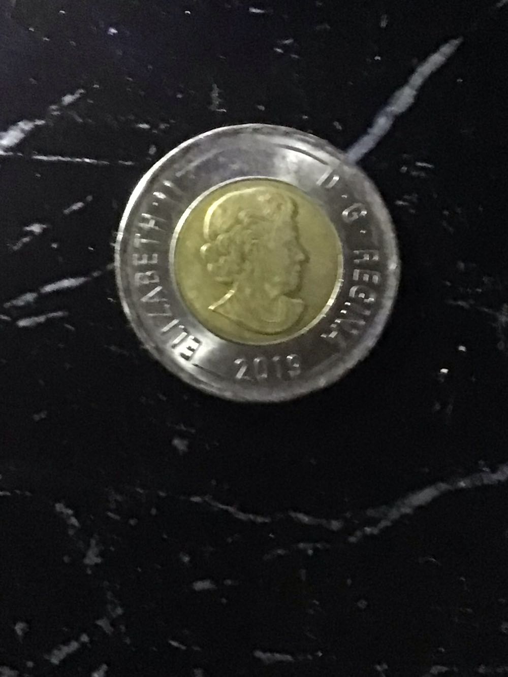 Toonie  coin collectible - Main Image 2