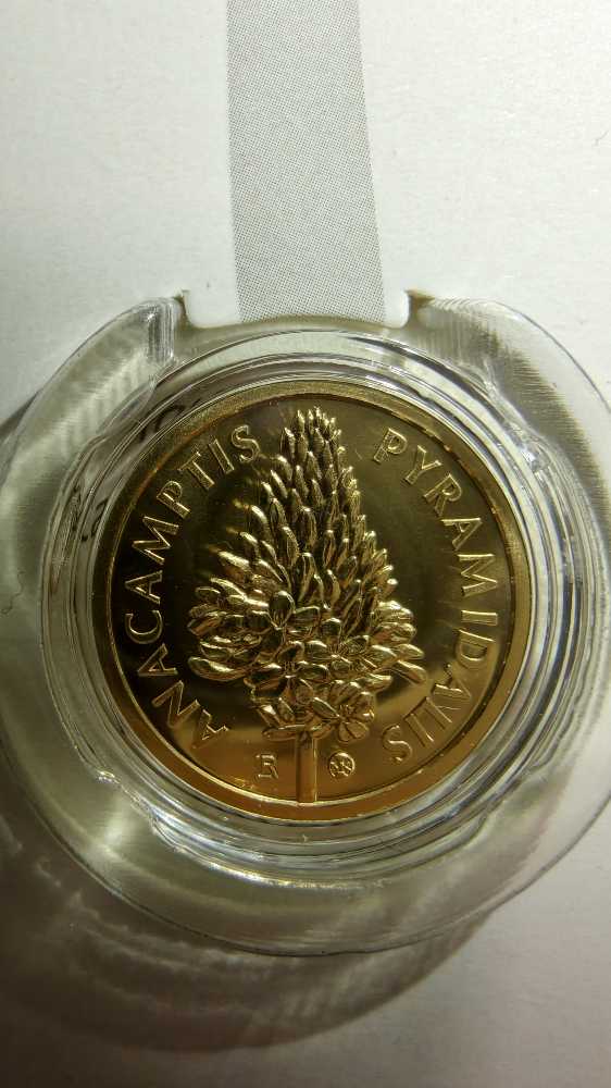 Cervenohlav Ihlanovity  coin collectible - Main Image 2