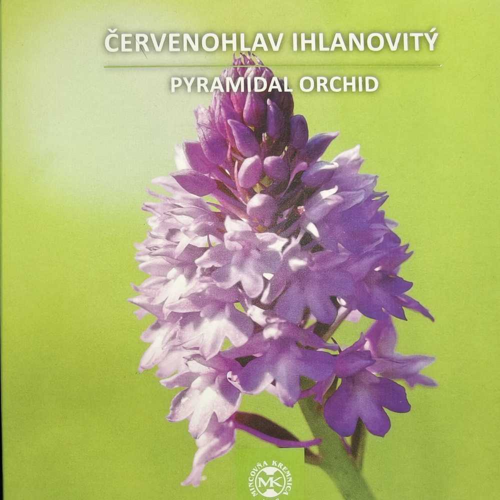 Cervenohlav Ihlanovity  coin collectible - Main Image 3