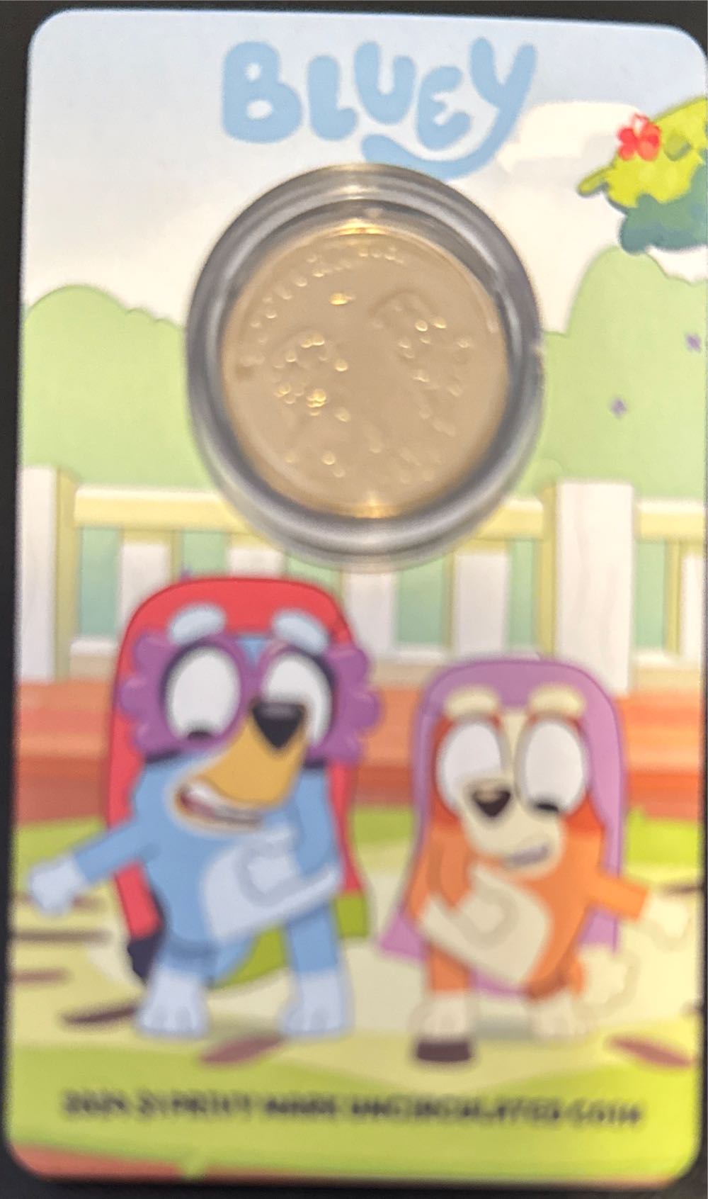 A Celebration of the 50 States Quarters