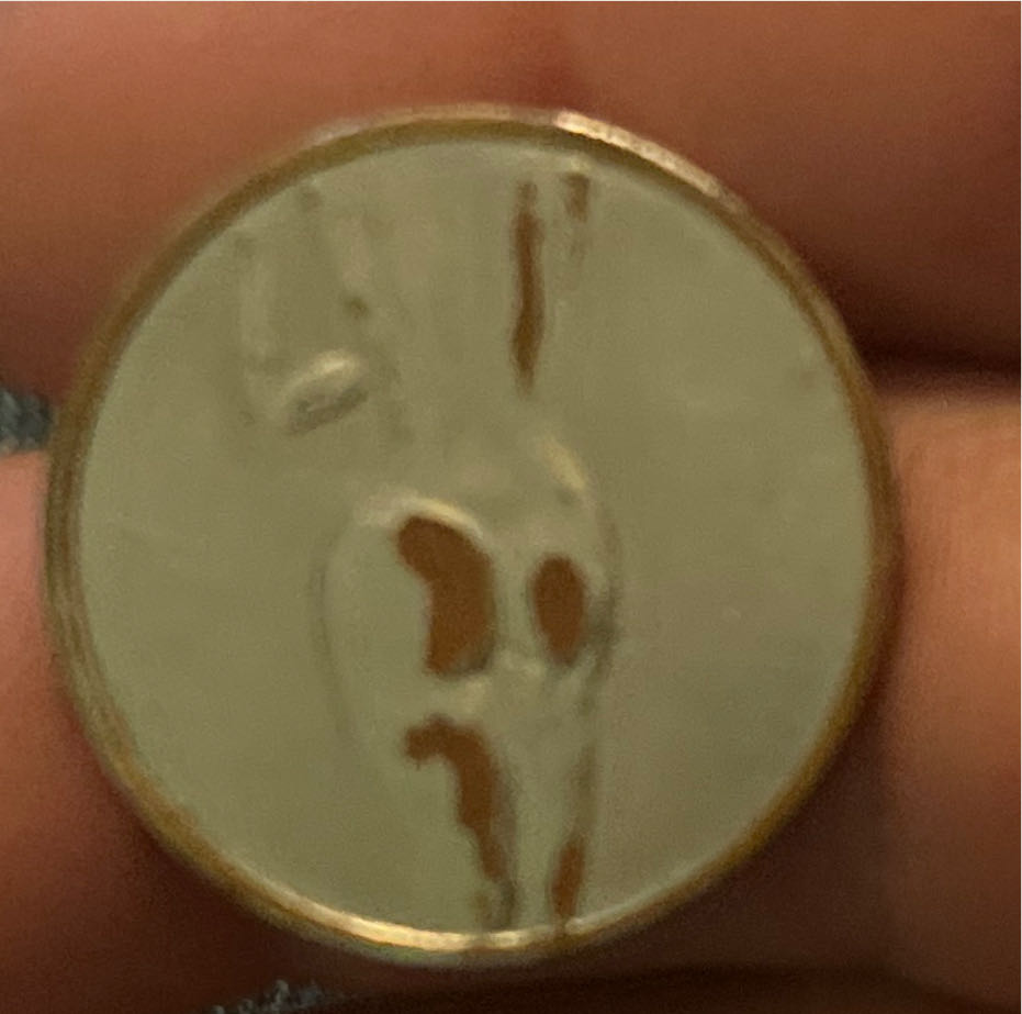 Naughty Coin  coin collectible - Main Image 2