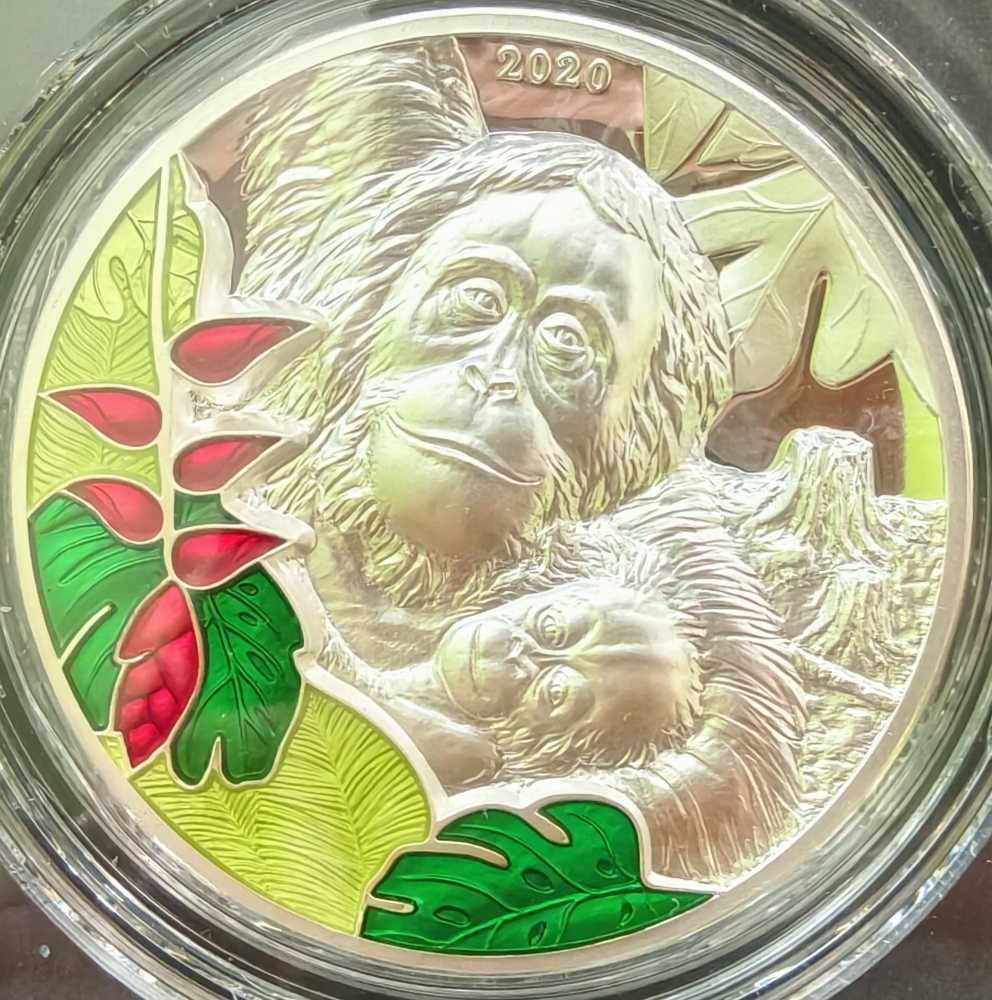 ICMOA Adults Only Token (Irish)