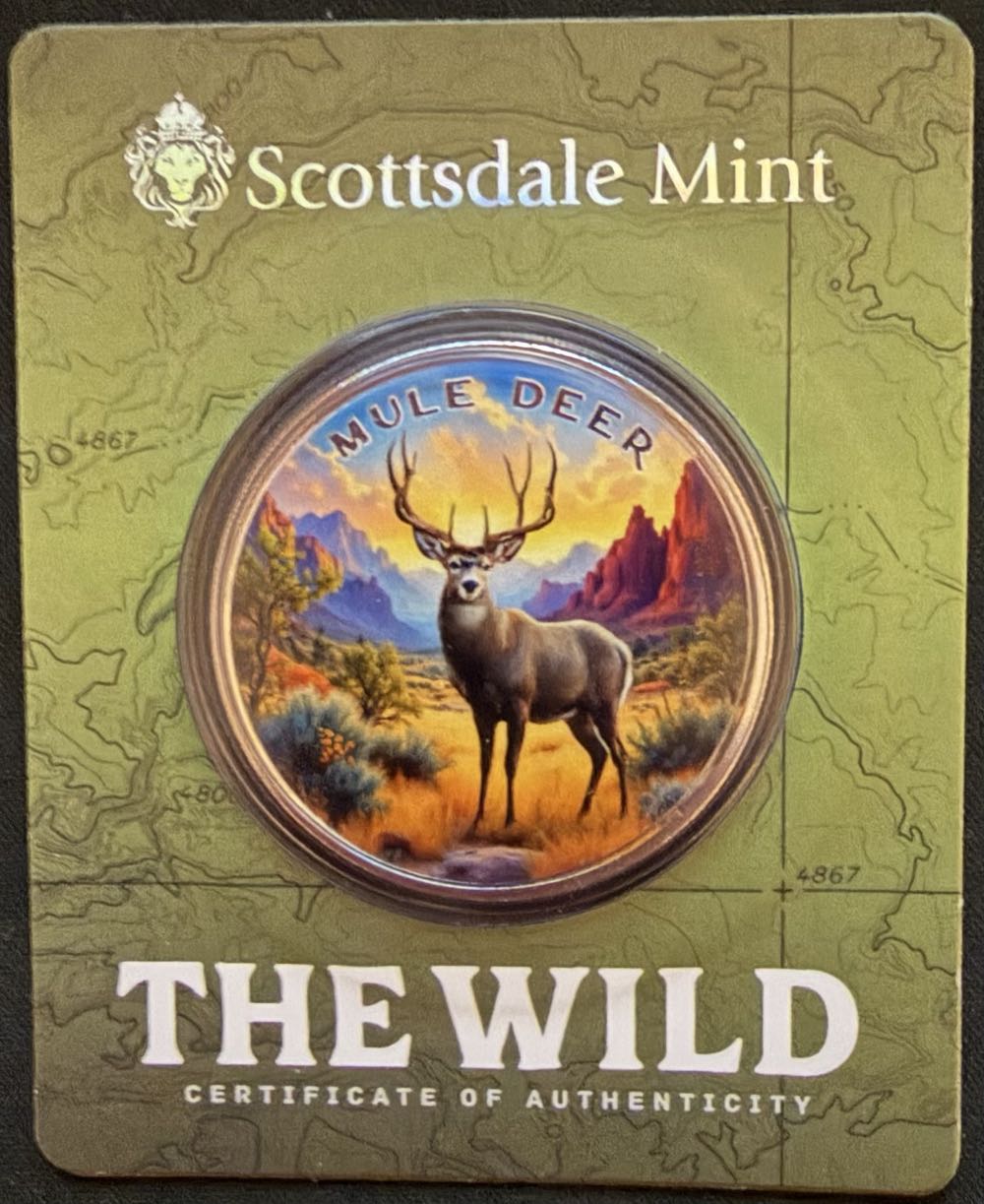 Coraville, Iowa Centennial Year 1973 Token