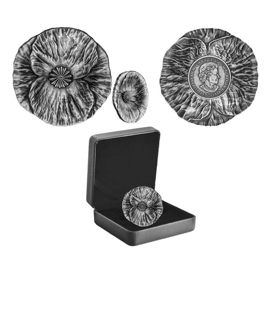 1854 Seated Liberty Half Dollar