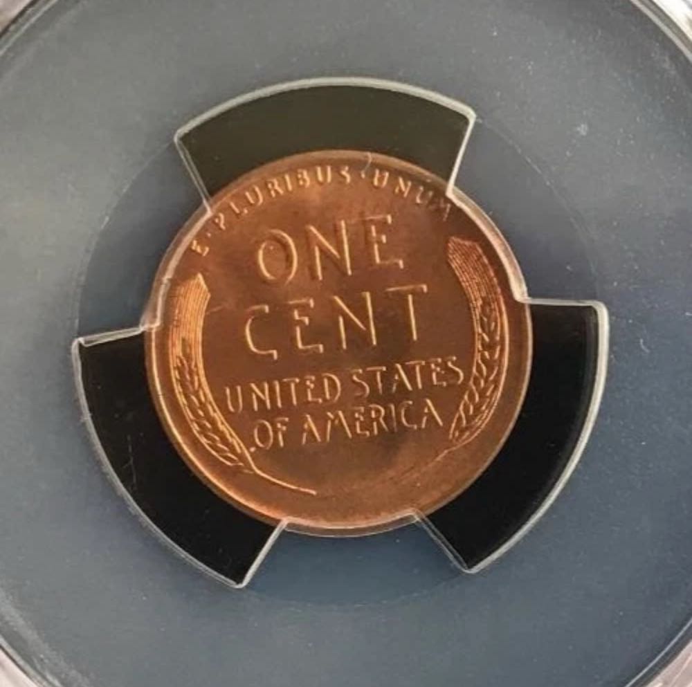 Lincoln Wheat Penny 1941-D  coin collectible - Main Image 4