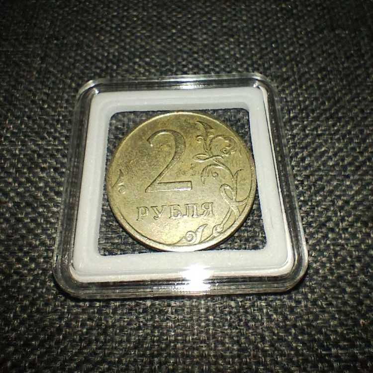 2023 Wildlife Carp 10p