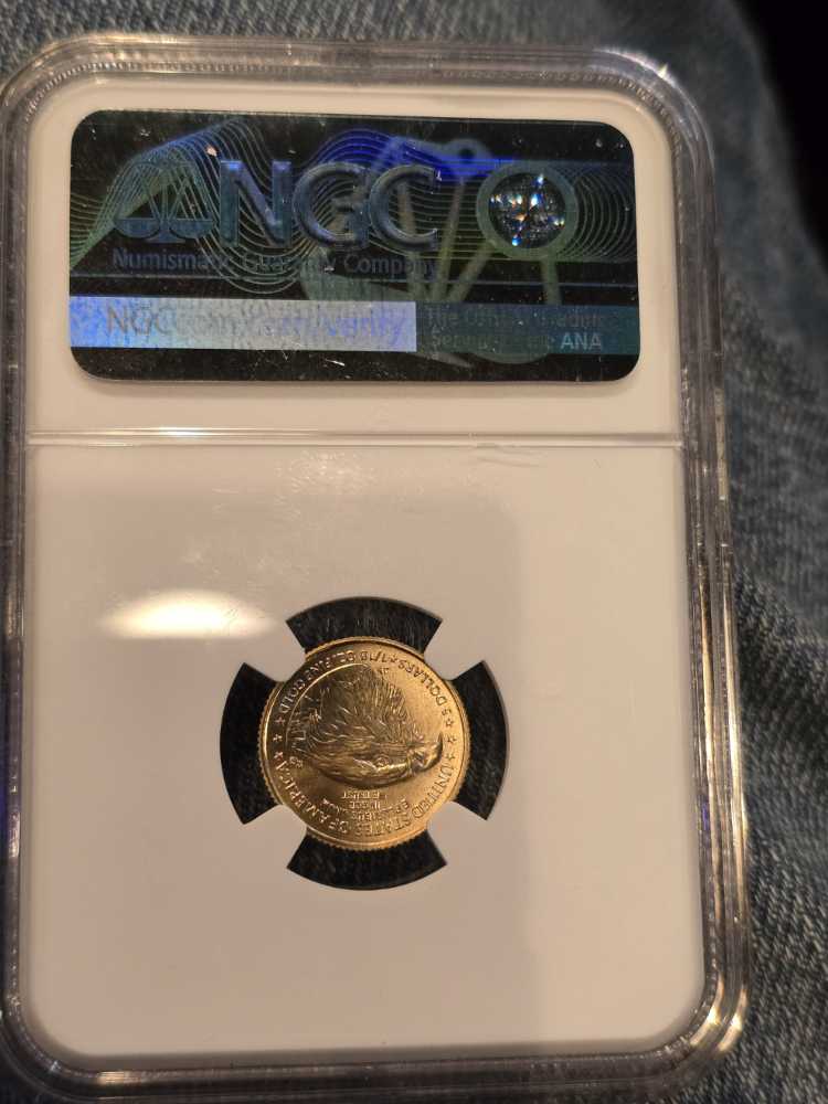 2024 $5 Eagle NGC MS70  coin collectible [Barcode 71353170008672899183] - Main Image 2