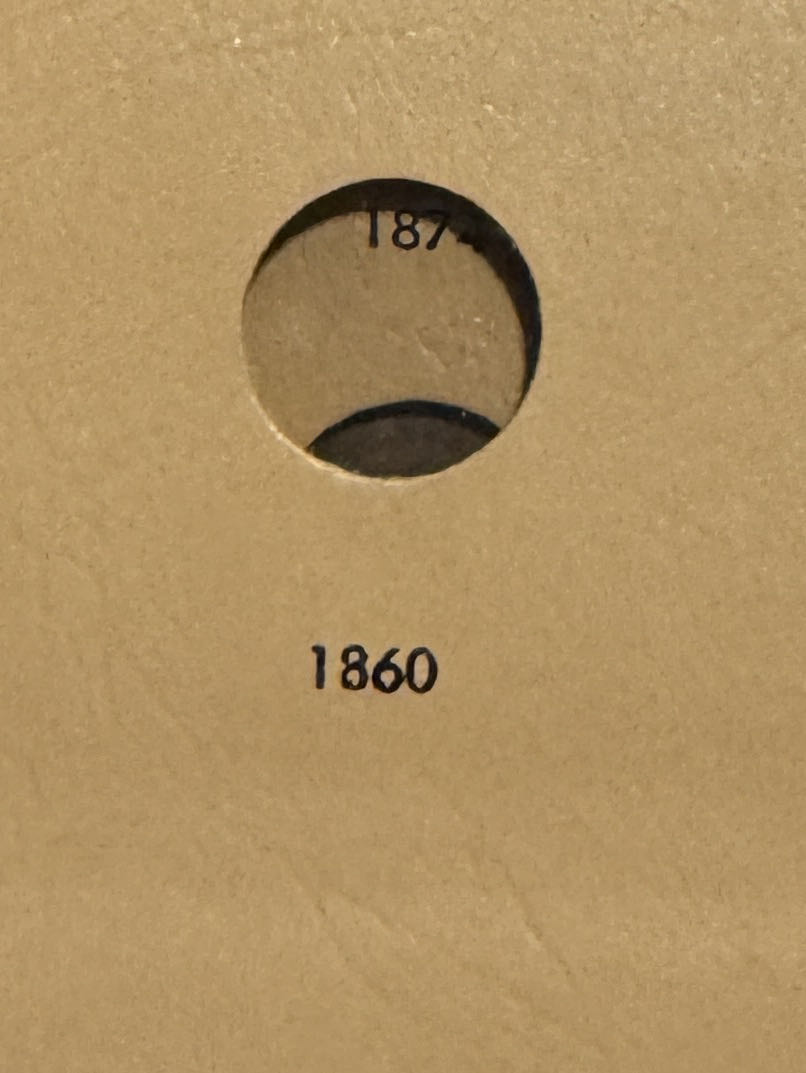 Soaring | Dragon Blessings