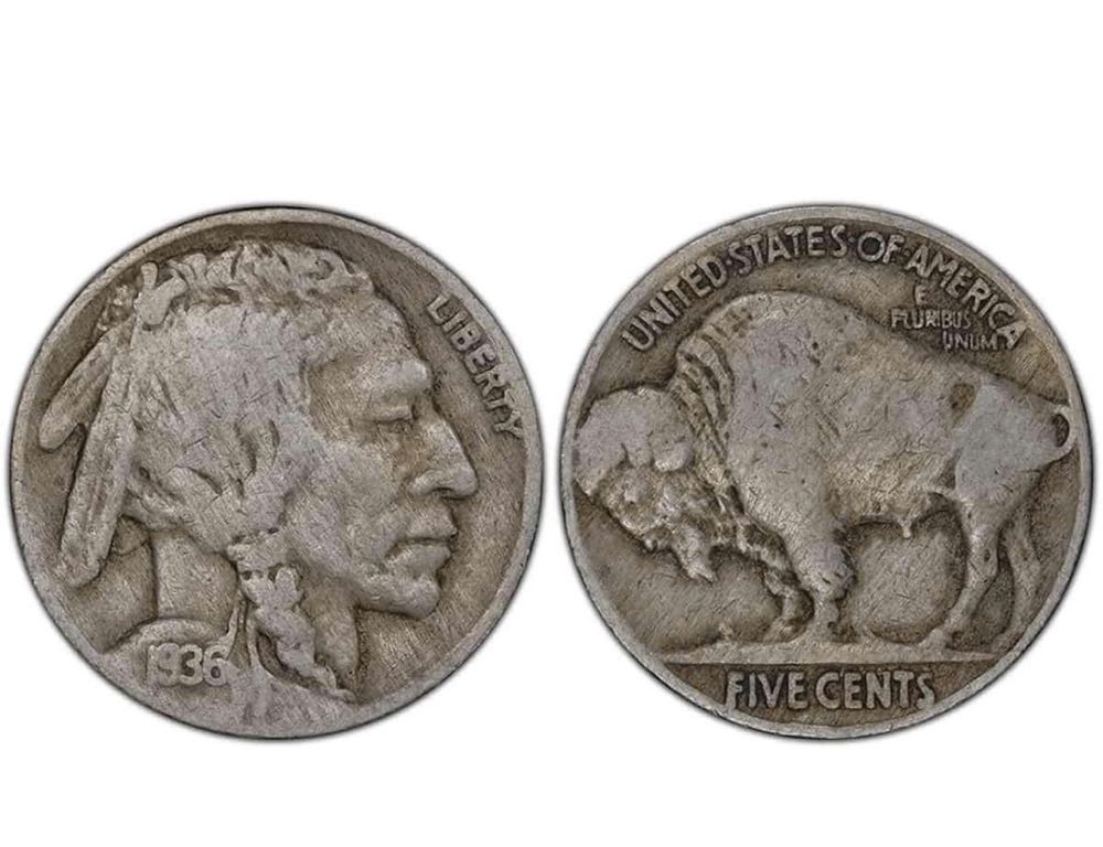 2023 Wildlife Smooth Snake 10p