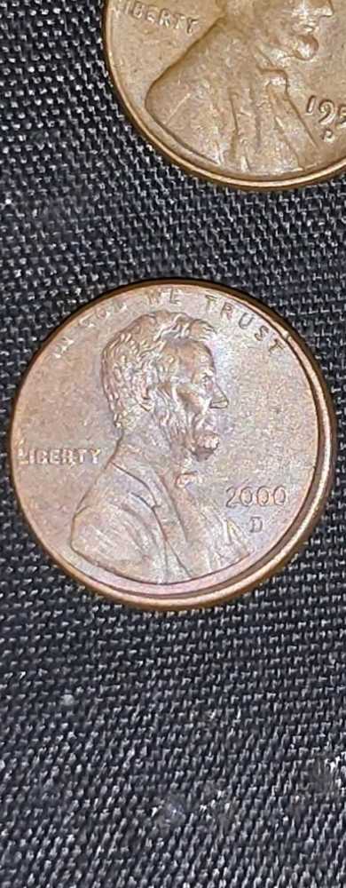 MAPLE LEAF SILHOUETTE CANADA GEESE