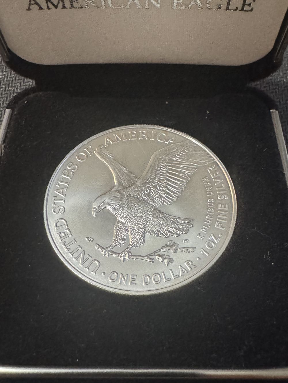 American Silver Eagle 2024  coin collectible - Main Image 2