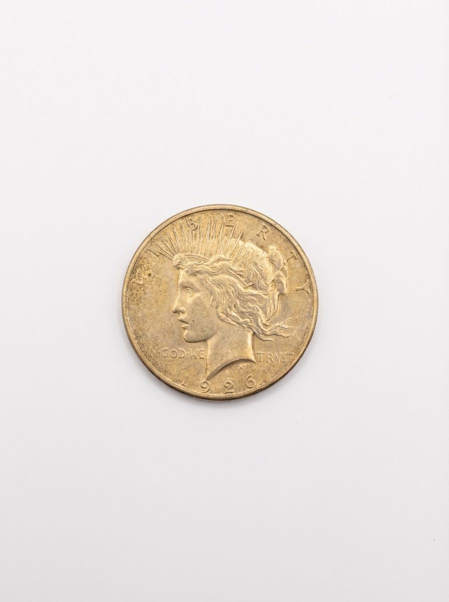 Sacagawea Dollar  coin collectible - Main Image 2