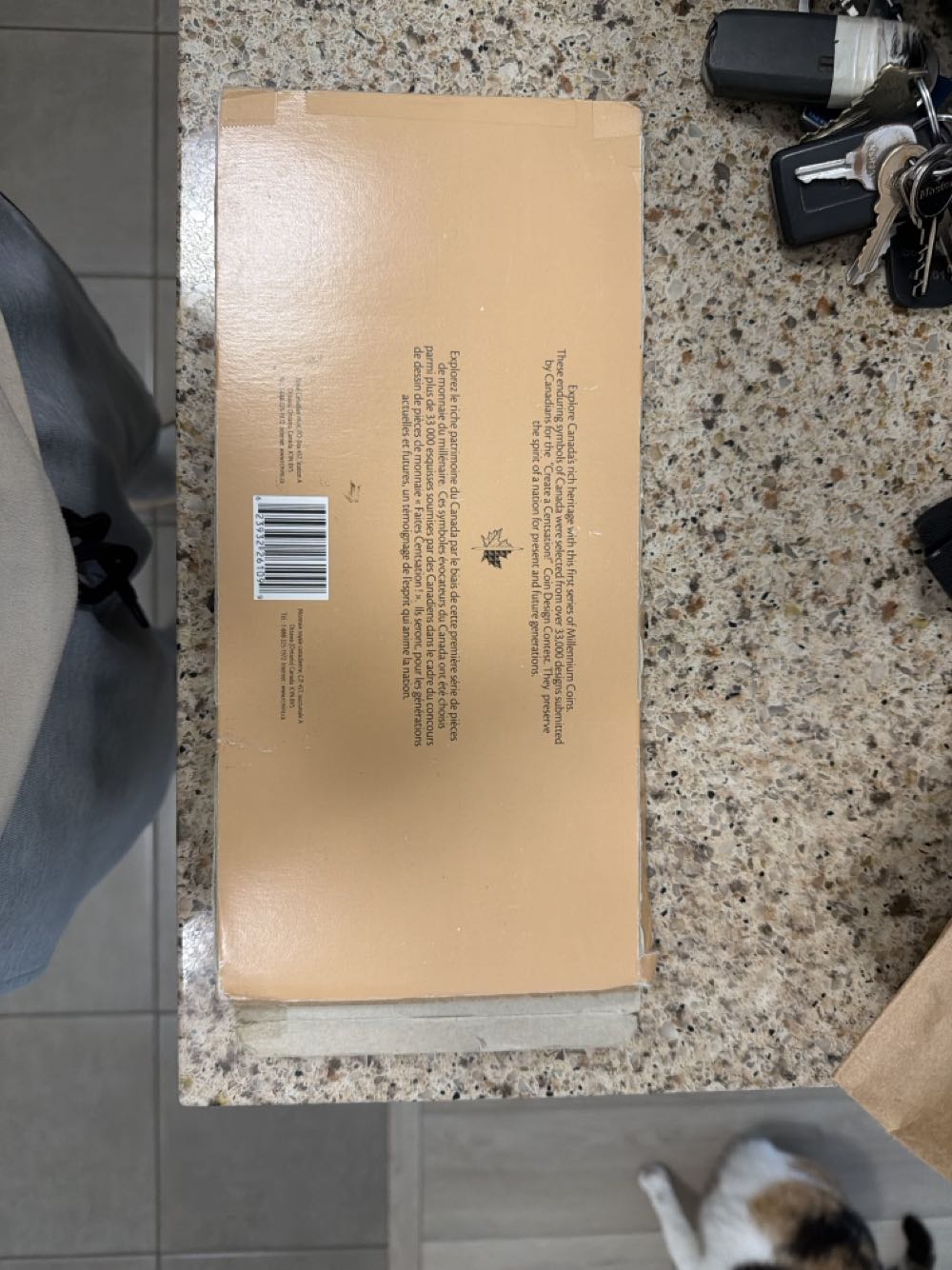 Millennium Canada / Millénaire 1999 25-cent Quarter Set  coin collectible [Barcode 623975226100] - Main Image 2