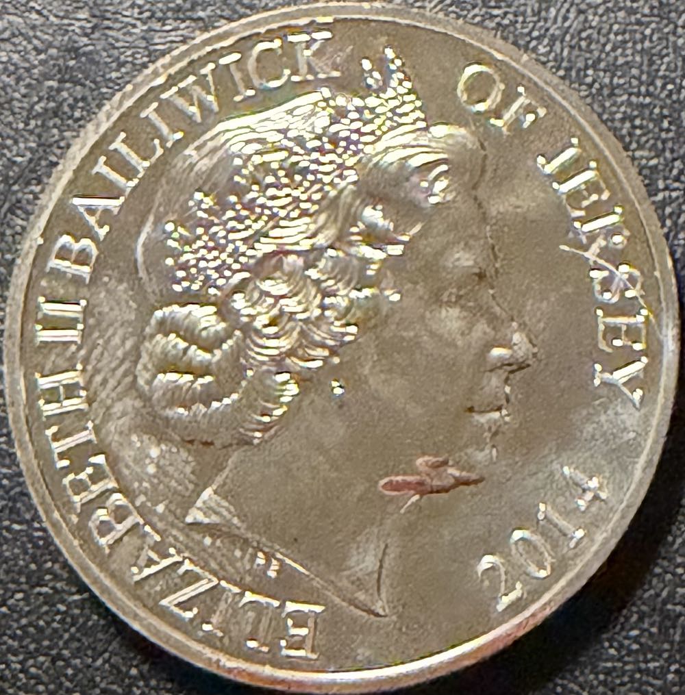 2014 Lest We Forget  £5  coin collectible - Main Image 2