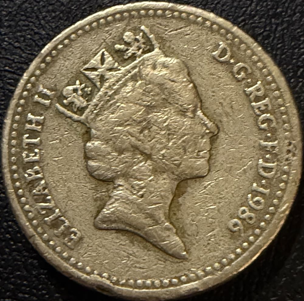 1986 Northern Ireland Flax £1  coin collectible - Main Image 2