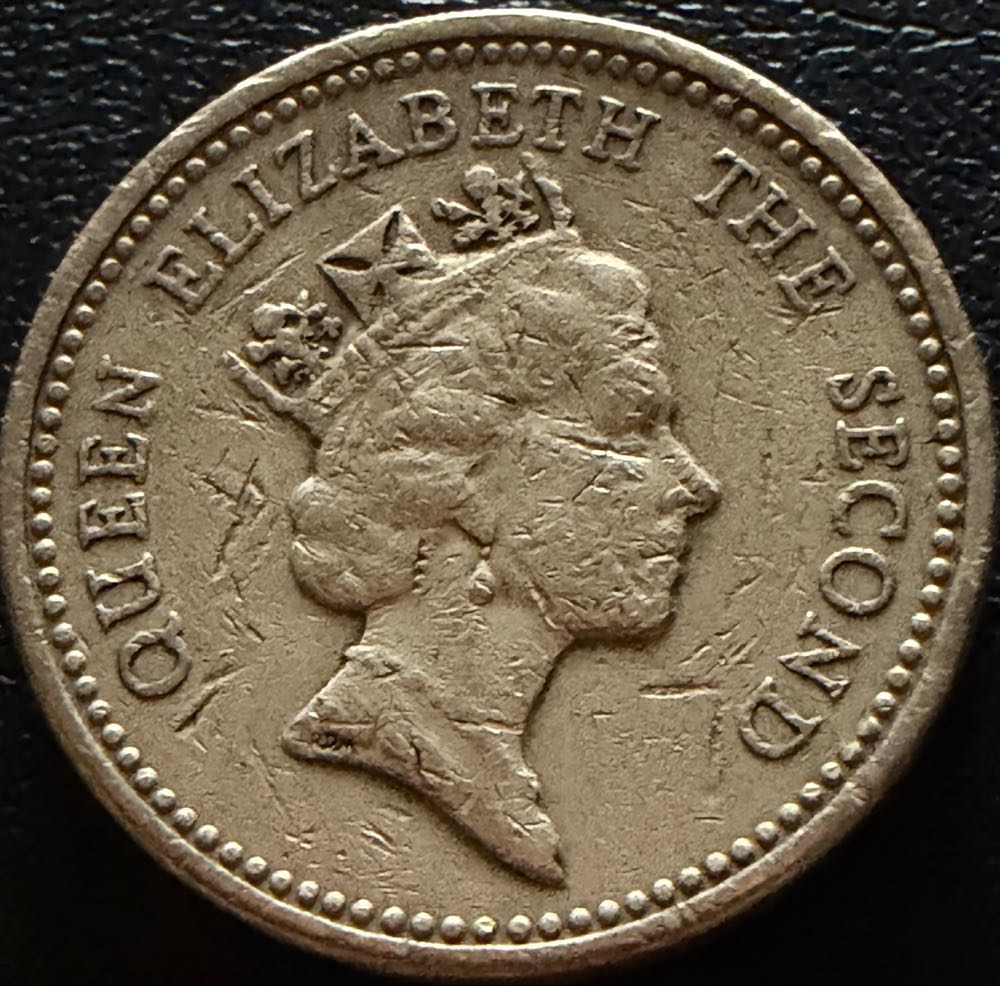 1999 Falklands Coat Of Arms £1  coin collectible - Main Image 2