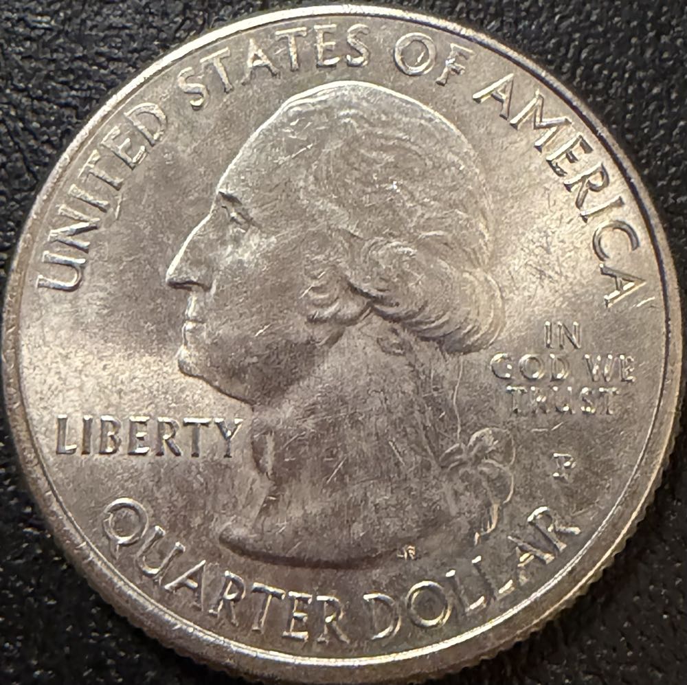 2018 Cumberland Island State Quarter P  coin collectible - Main Image 2