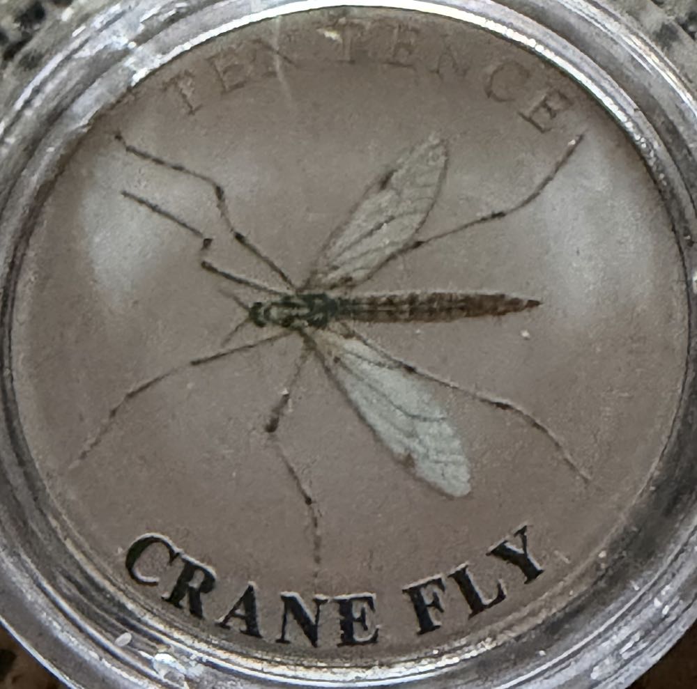 2021 Dimorphodon 50p