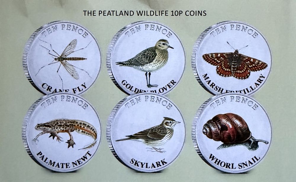 2025 Wildlife Marsh Fritillary 10p  coin collectible - Main Image 3