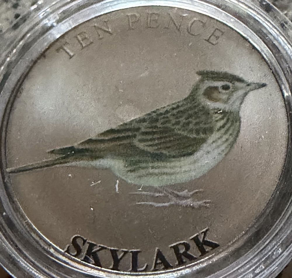 2021 Devoted To Your Service Half Crown