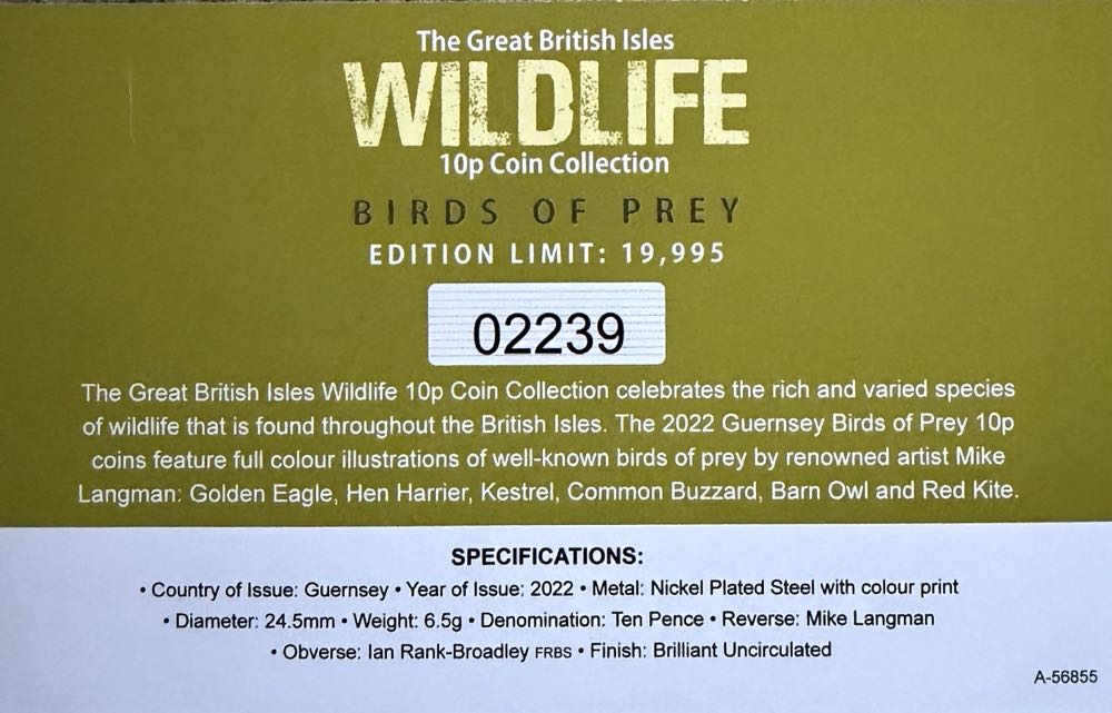 2022 Wildlife Common Buzzard 10p  coin collectible - Main Image 4
