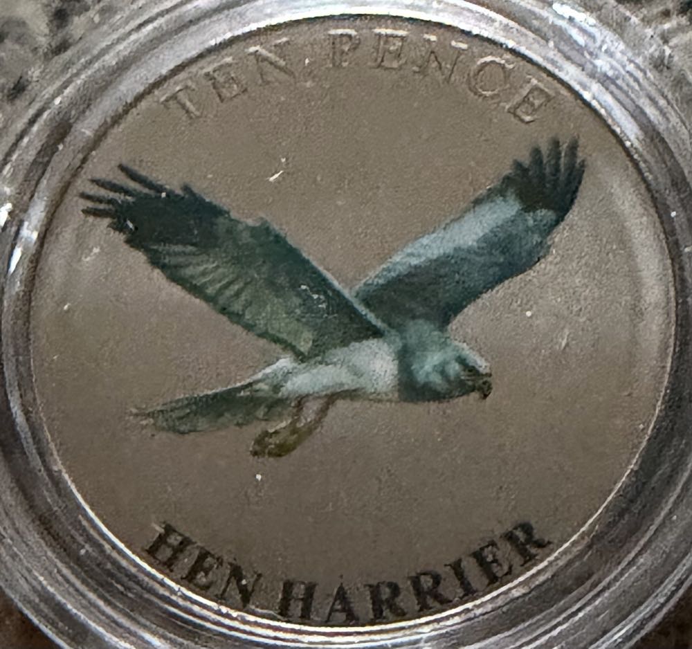 2019 Peter Pan - All Children 50p