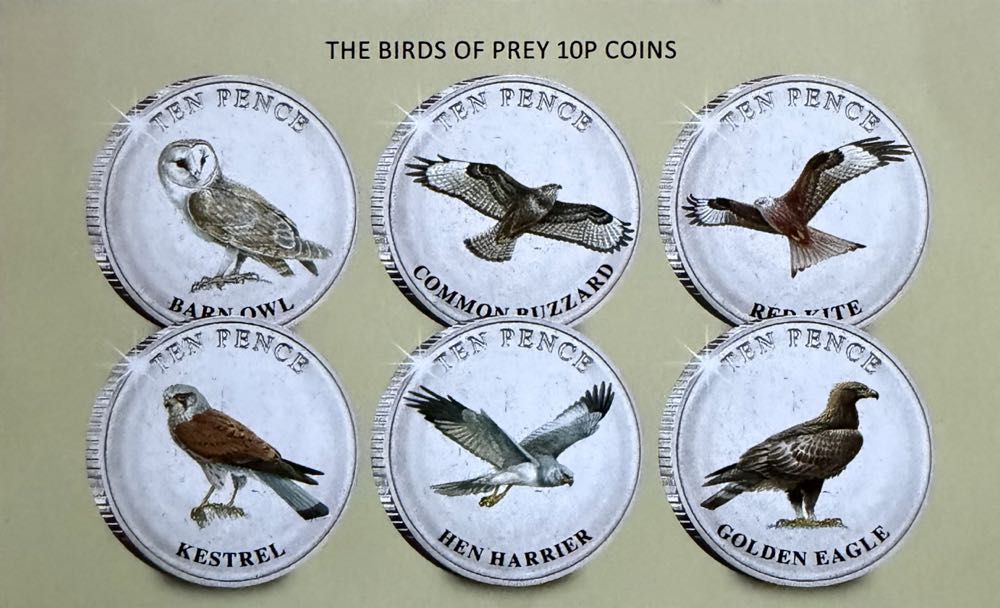 2022 Wildlife Kestrel 10p  coin collectible - Main Image 3