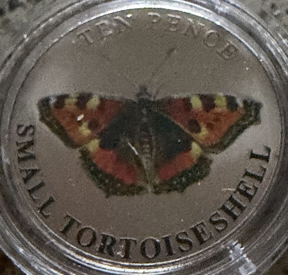 HSI Douglas Arizona BEST