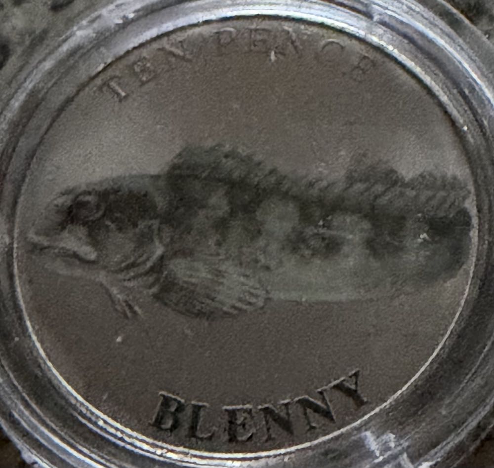 Morgan Silver Dollar