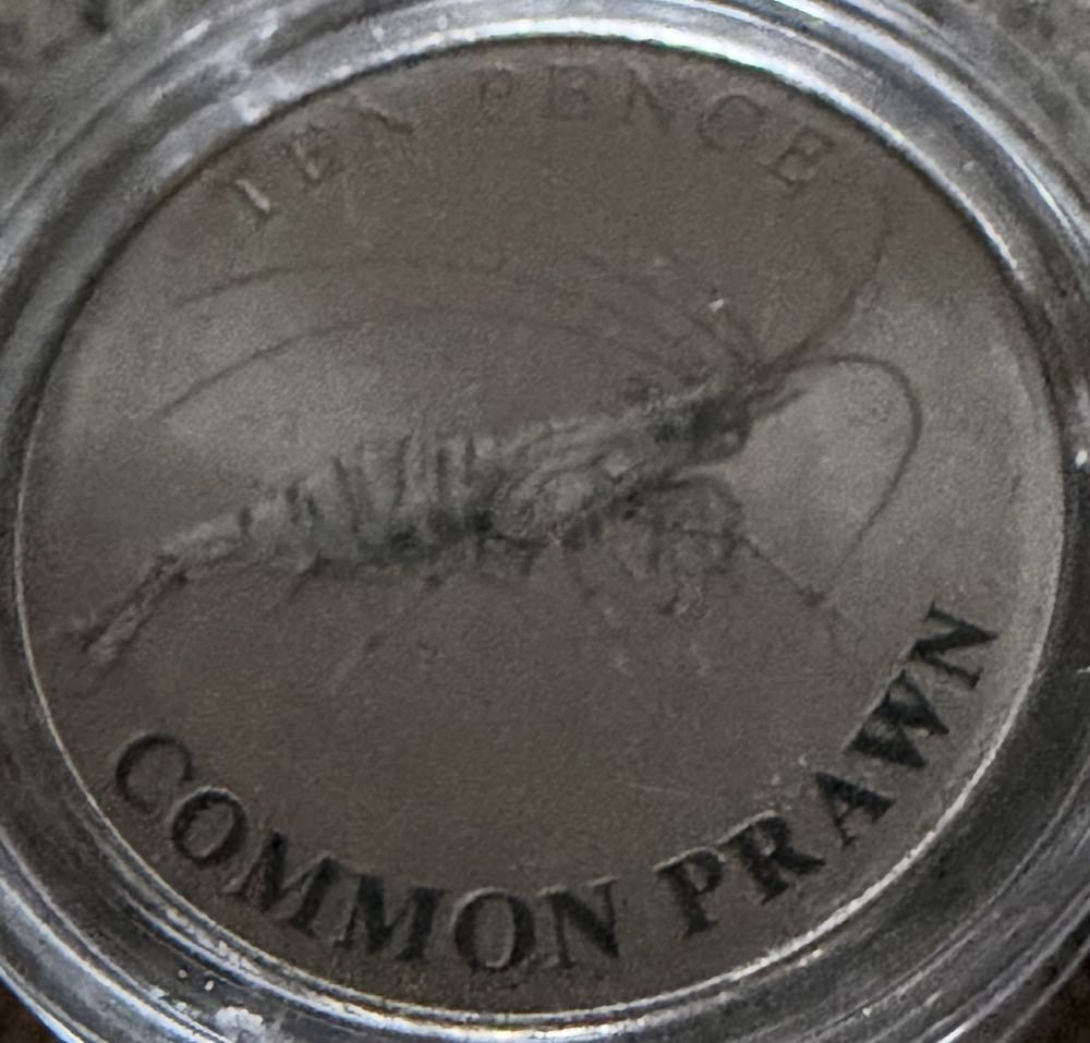 2004 Kennedy Titanic Half Dollar (9)