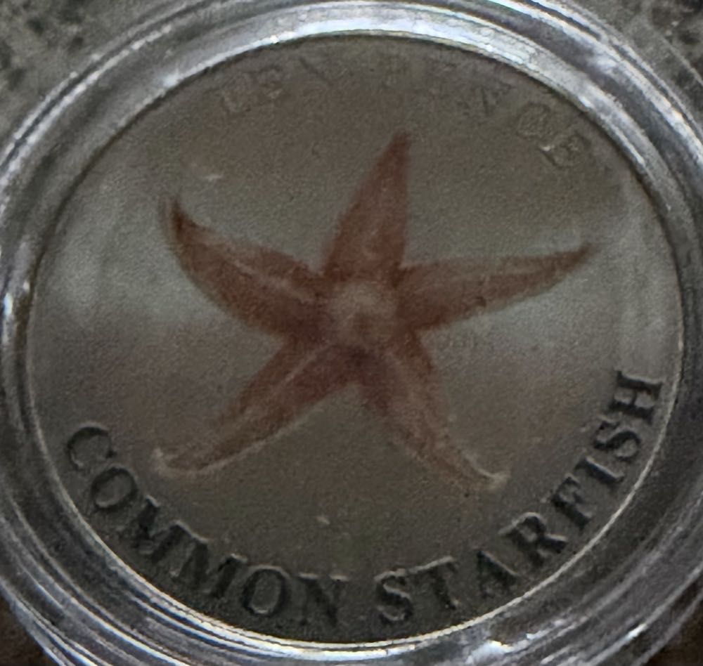 2024 Wildlife Cod 10p