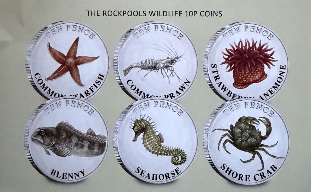 2024 Wildlife Shore Crab 10p  coin collectible - Main Image 3