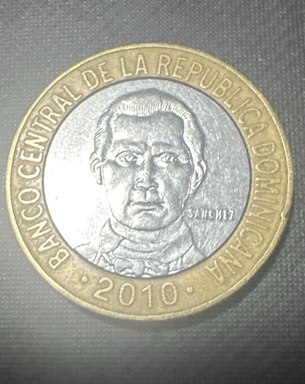 2025 Wildlife Bottlenose Dolphin 10p