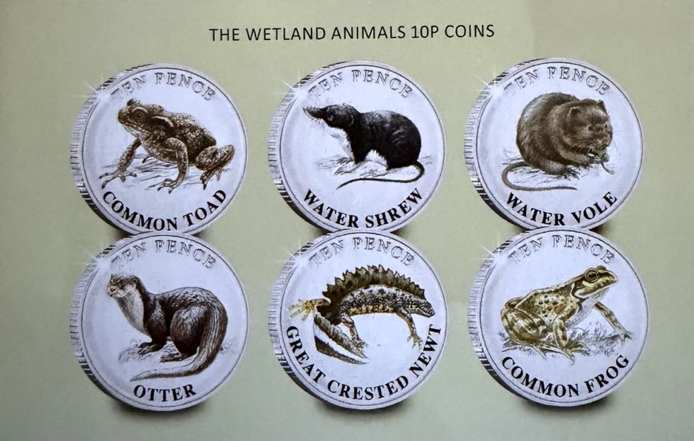 2022 Wildlife Common Toad 10p  coin collectible - Main Image 3