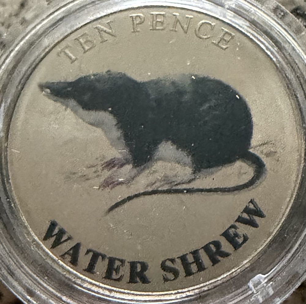 2018 Flopsy Bunny 50p