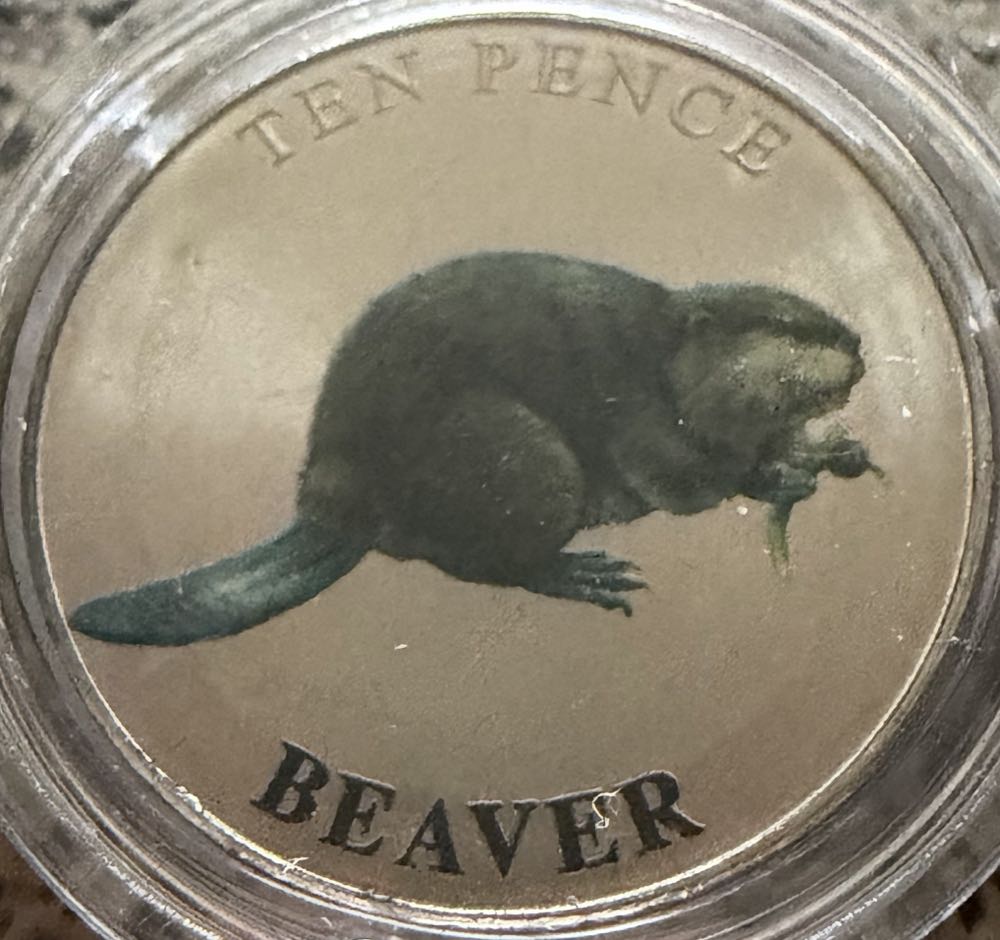 1976 Eisenhower Bi-Centenial Dollar D (2)