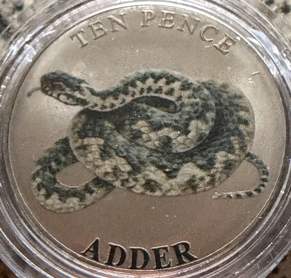 2023 Wildlife Slow Worm 10p