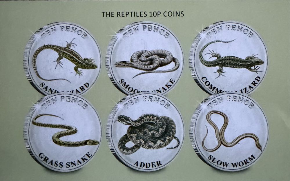 2023 Wildlife Common Lizard 10p  coin collectible - Main Image 3