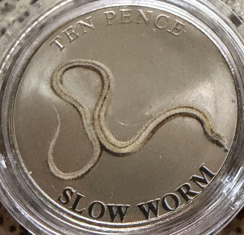 2022 Wildlife Otter 10p