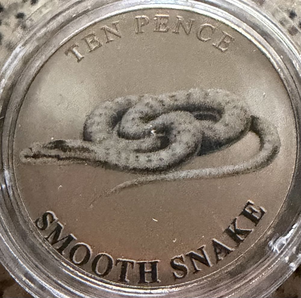 New Orleans Souvenir Coin