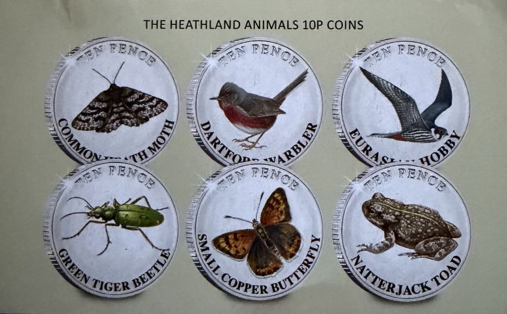 2023 Wildlife Dartford Warbler 10p  coin collectible - Main Image 3