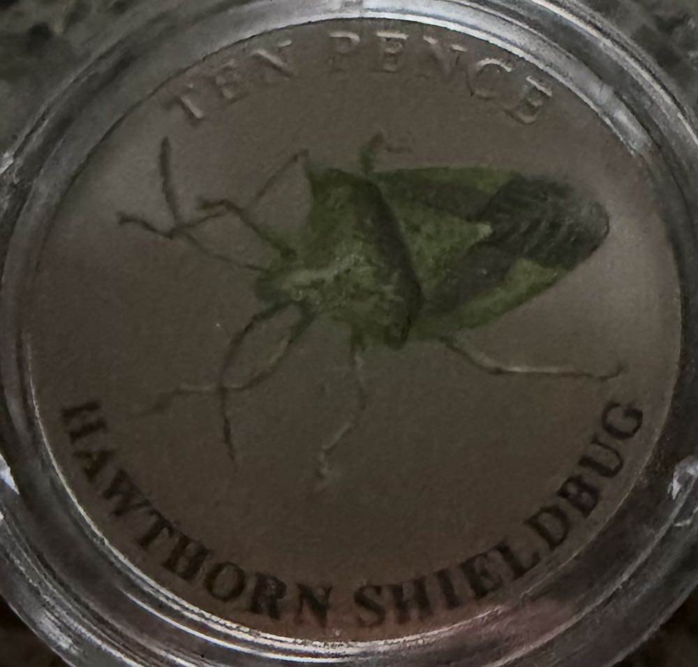 1958 Elizabeth II Scottish Shilling (2)