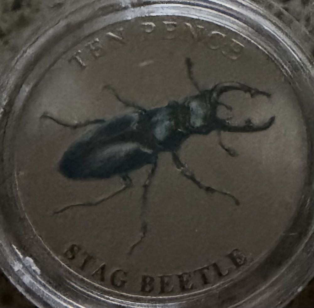 2000 Millennium Globe £5