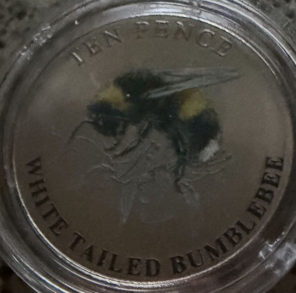 2012 Prince Of Wales Badge 2p