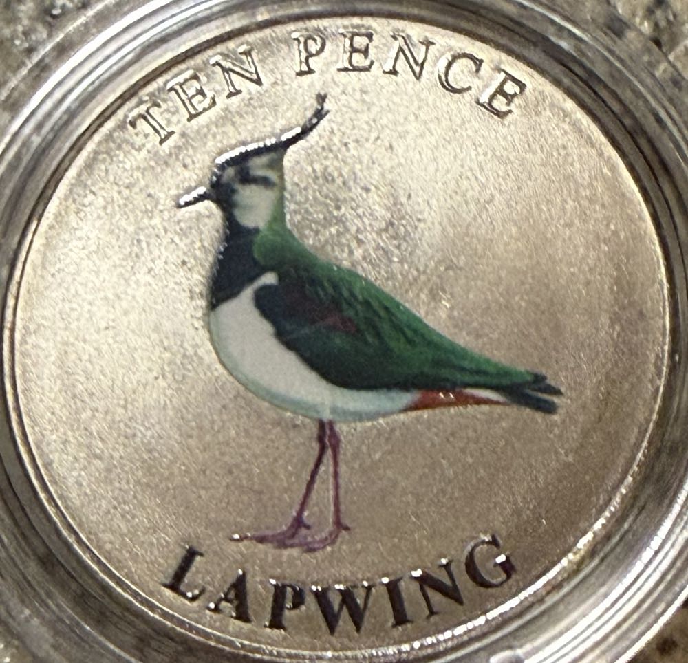 1986 Northern Ireland Flax Piedfort £1