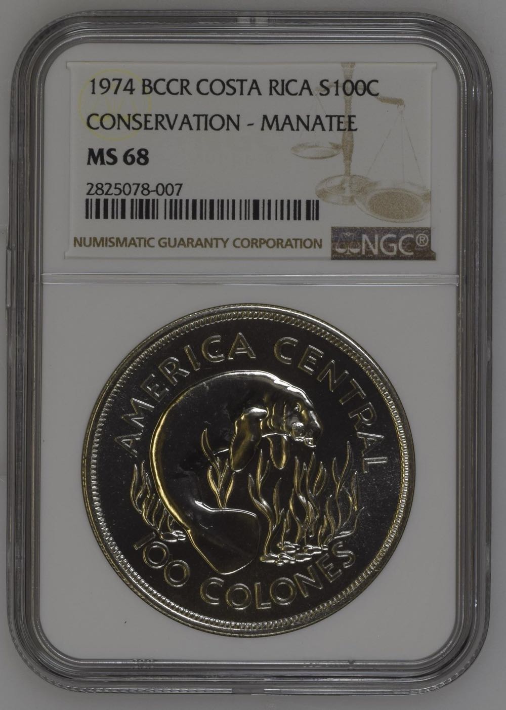 American Silver Eagle