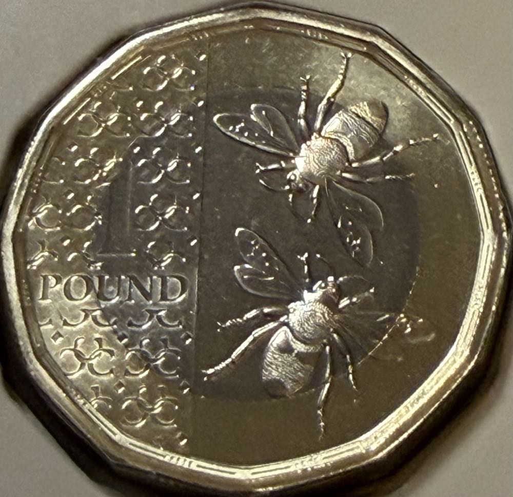 1977 S Eisenhower Proof Dollar with COA MG