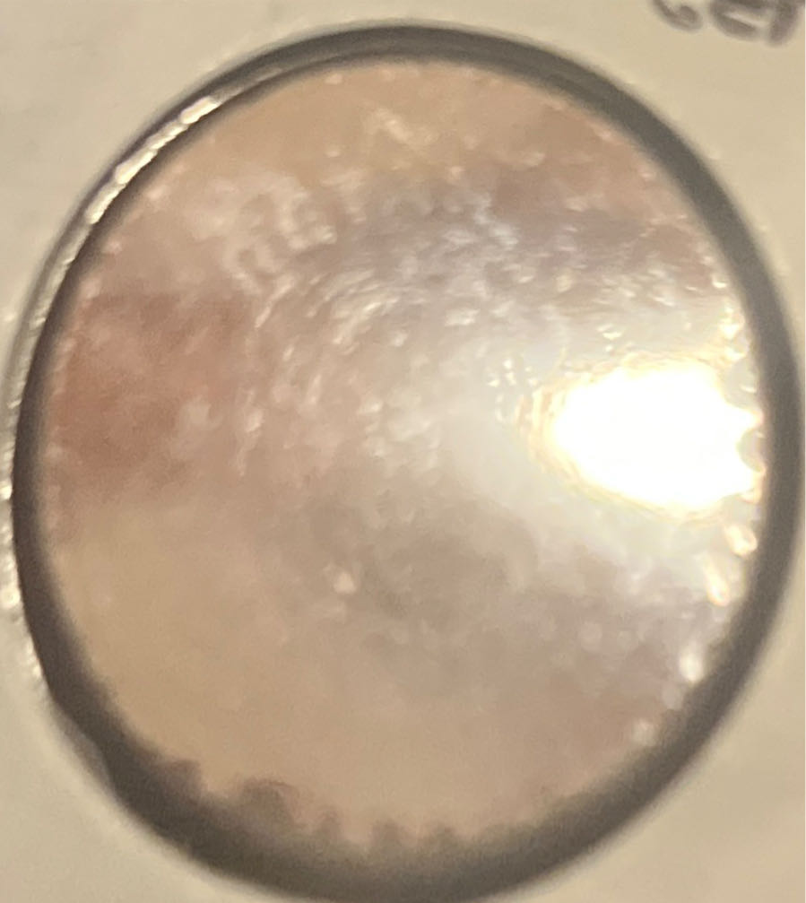 2016 Jemima Puddle-Duck FDC 50p